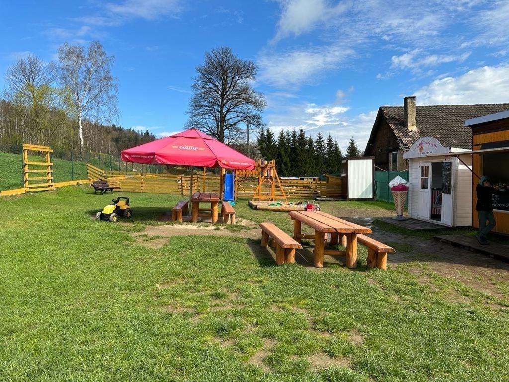 Agroturystyka Alpaka Konradow Apartment Konradow  Екстериор снимка