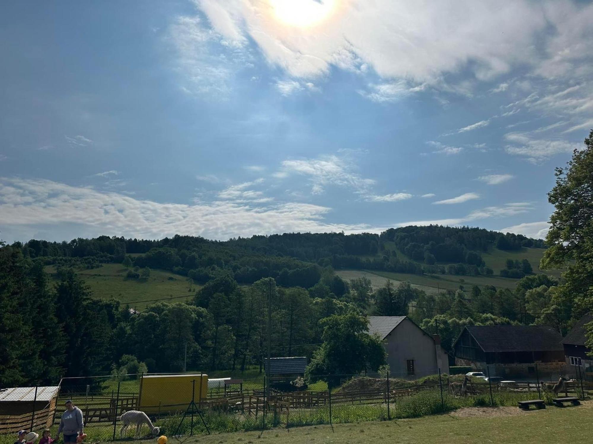 Agroturystyka Alpaka Konradow Apartment Konradow  Екстериор снимка
