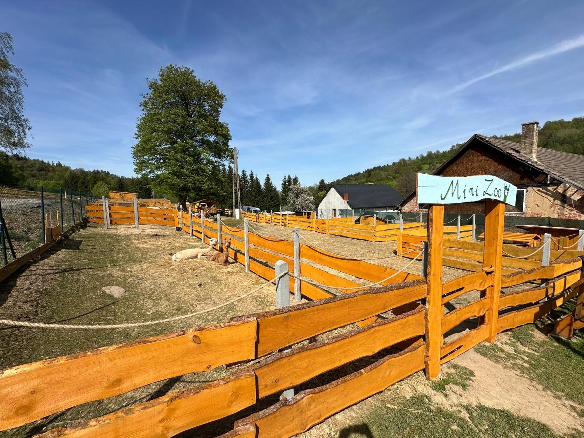 Agroturystyka Alpaka Konradow Apartment Konradow  Екстериор снимка